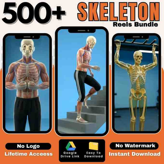 500+ AI Skeleton Reels Bundle